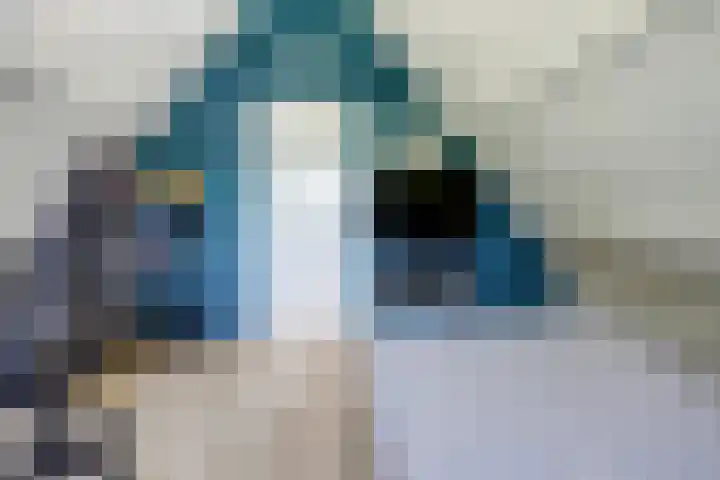 Schutsboom 74 Hilvarenbeek thumbnail 25
