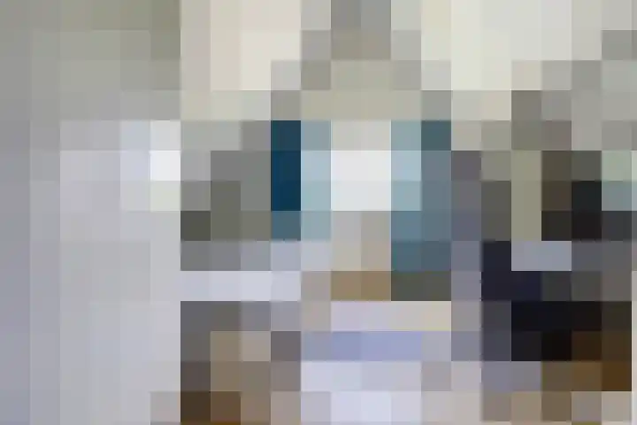 Schutsboom 74 Hilvarenbeek thumbnail 26