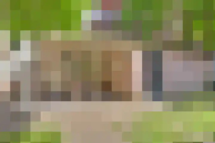 Schutsboom 74 Hilvarenbeek thumbnail 28