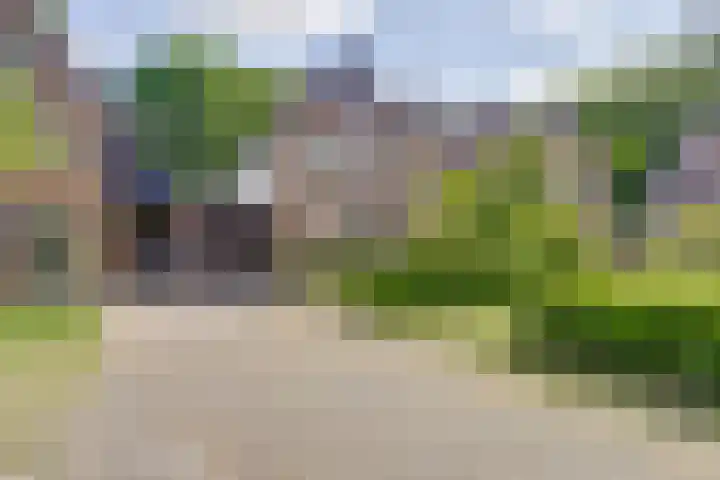 Schutsboom 74 Hilvarenbeek thumbnail 33