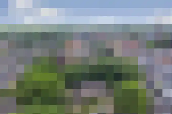 Schutsboom 74 Hilvarenbeek thumbnail 34
