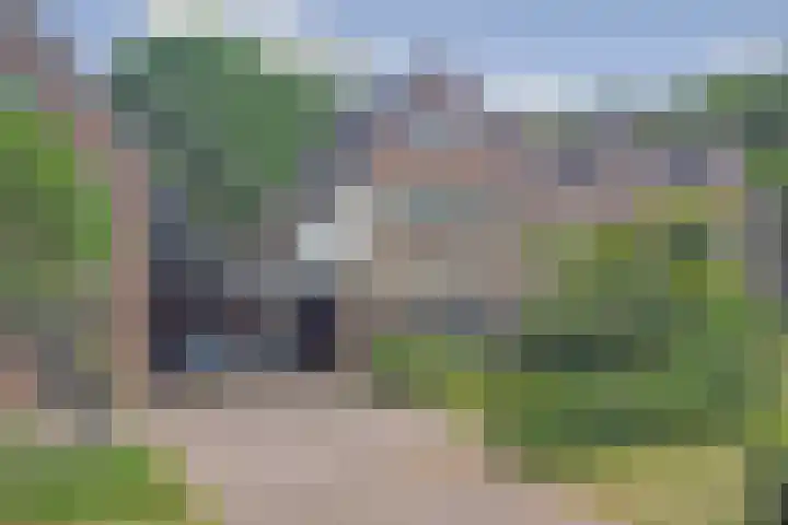 Schutsboom 74 Hilvarenbeek thumbnail 39