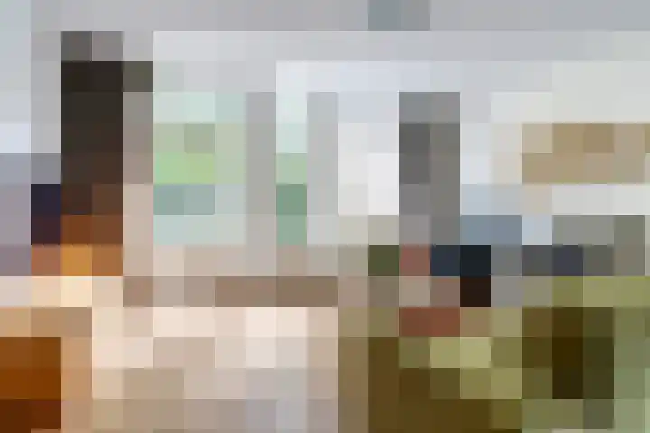 Schutsboom 74 Hilvarenbeek thumbnail 6