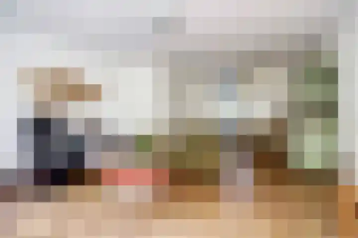 Schutsboom 74 Hilvarenbeek thumbnail 7