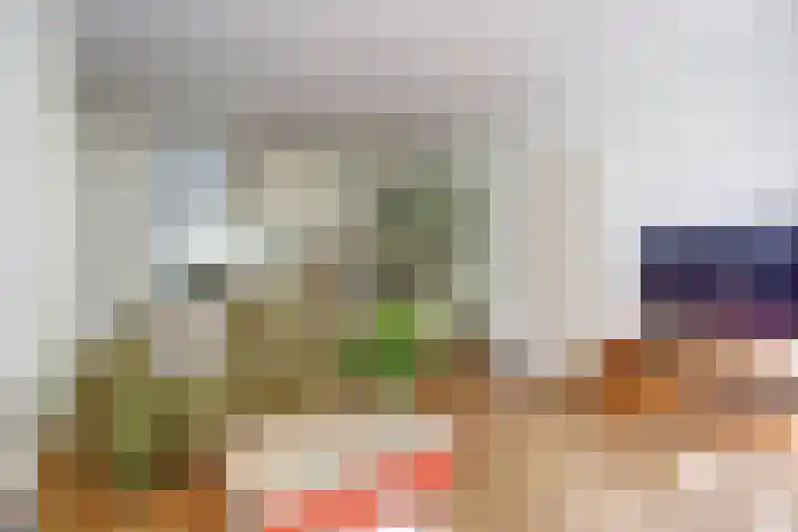 Schutsboom 74 Hilvarenbeek thumbnail 8