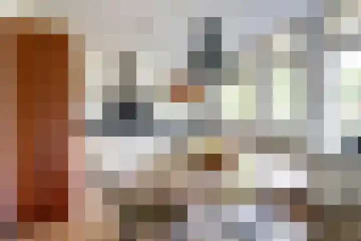 Schutsboom 74 Hilvarenbeek thumbnail 9