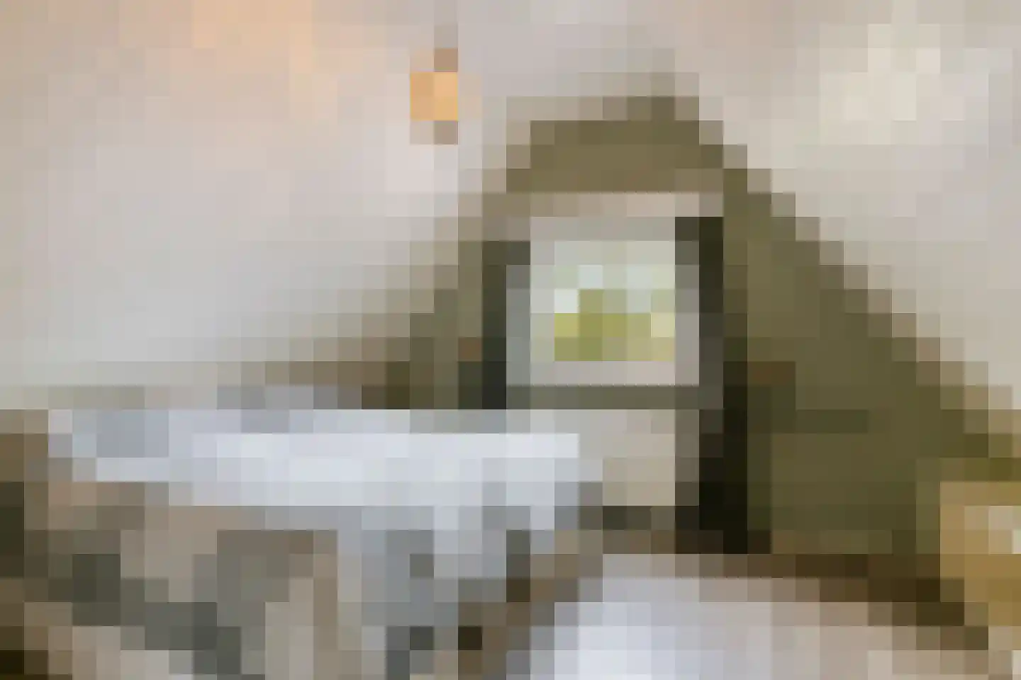 Schutsboom 76 A Hilvarenbeek thumbnail 29