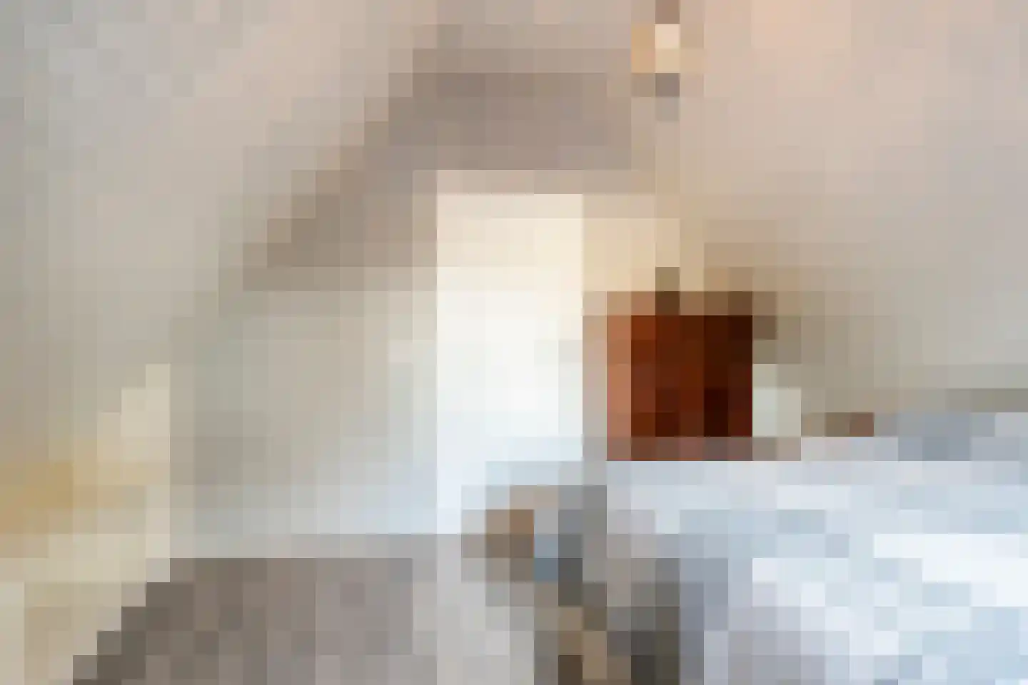Schutsboom 76 A Hilvarenbeek thumbnail 30