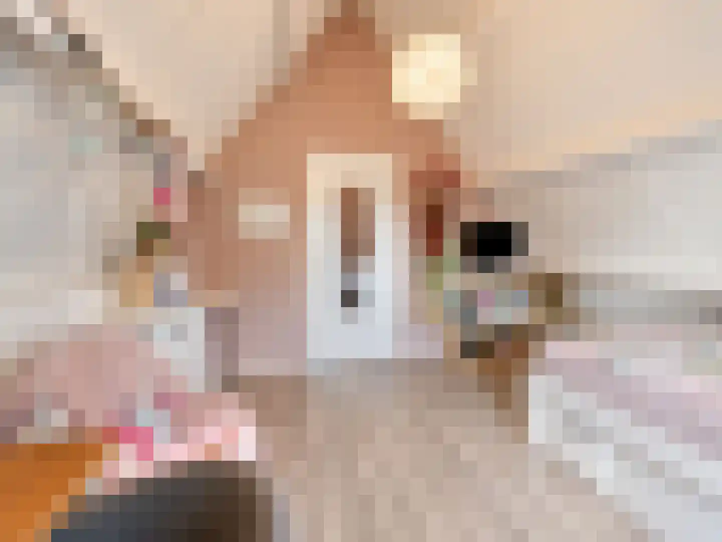 Schutsboom 76 A Hilvarenbeek thumbnail 32