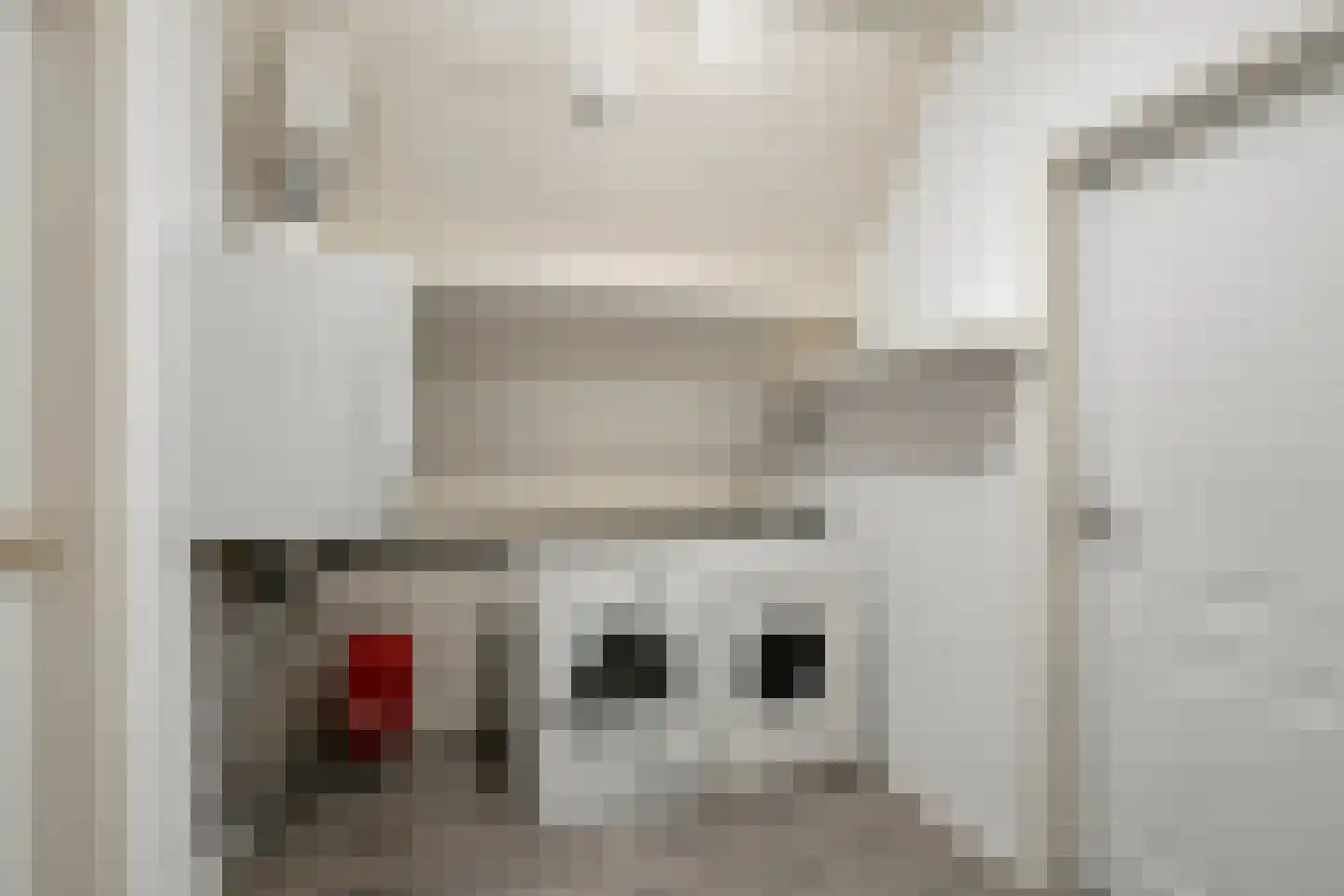 Schutsboom 76 A Hilvarenbeek thumbnail 33