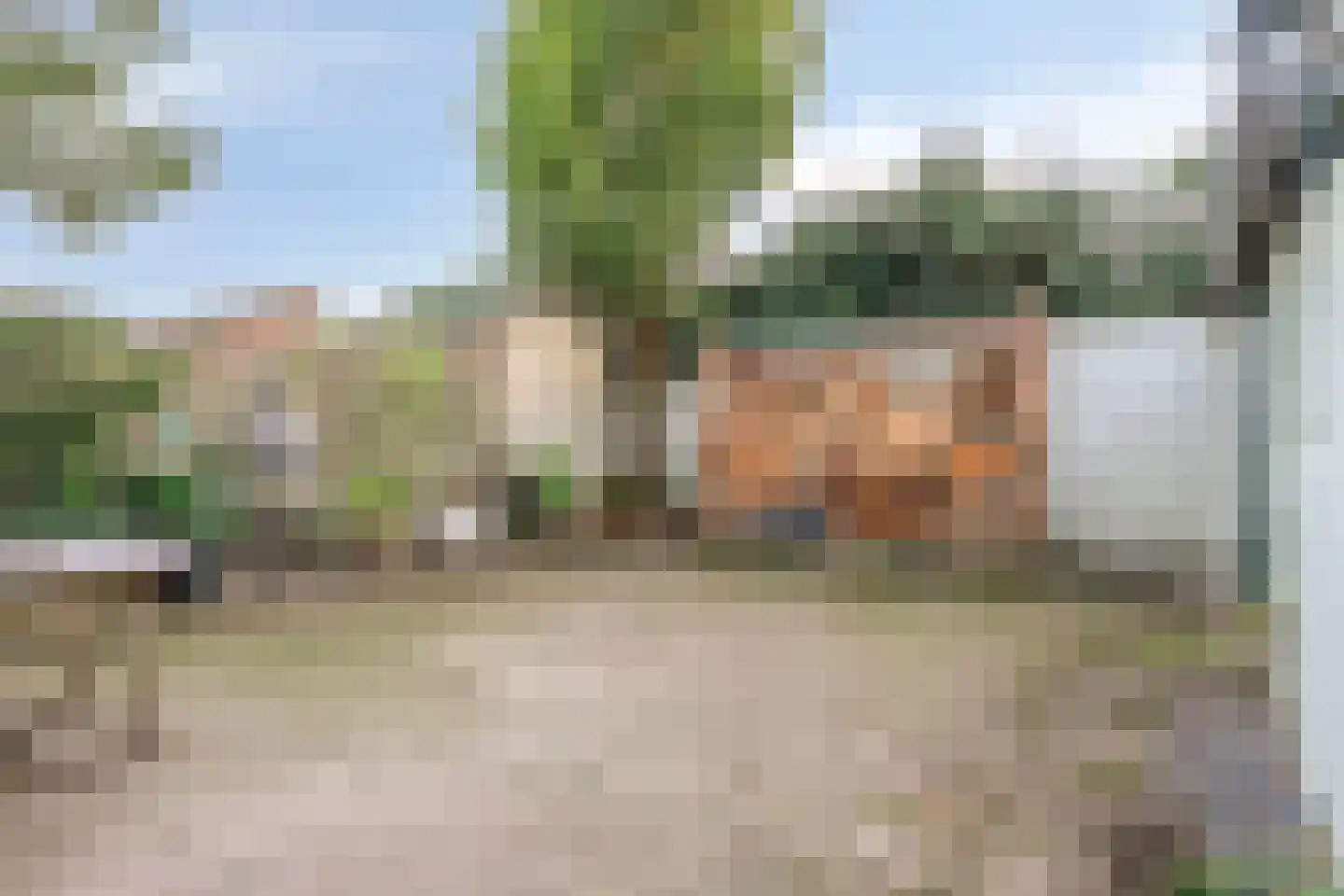 Schutsboom 76 A Hilvarenbeek thumbnail 35