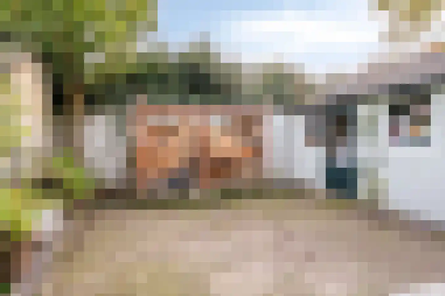 Schutsboom 76 A Hilvarenbeek thumbnail 36
