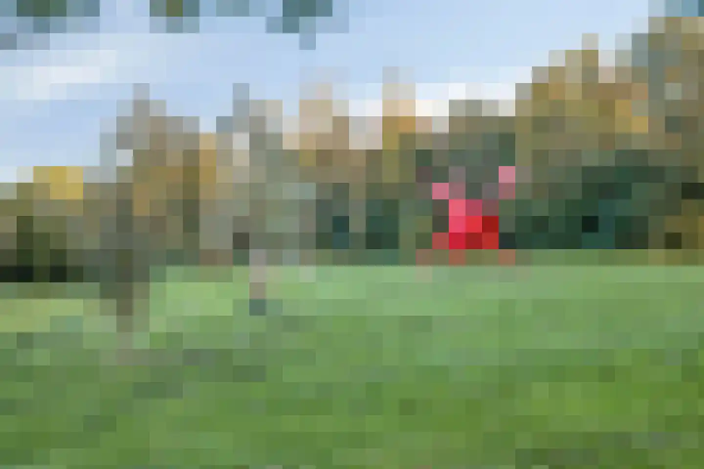Schutsboom 76 A Hilvarenbeek thumbnail 47