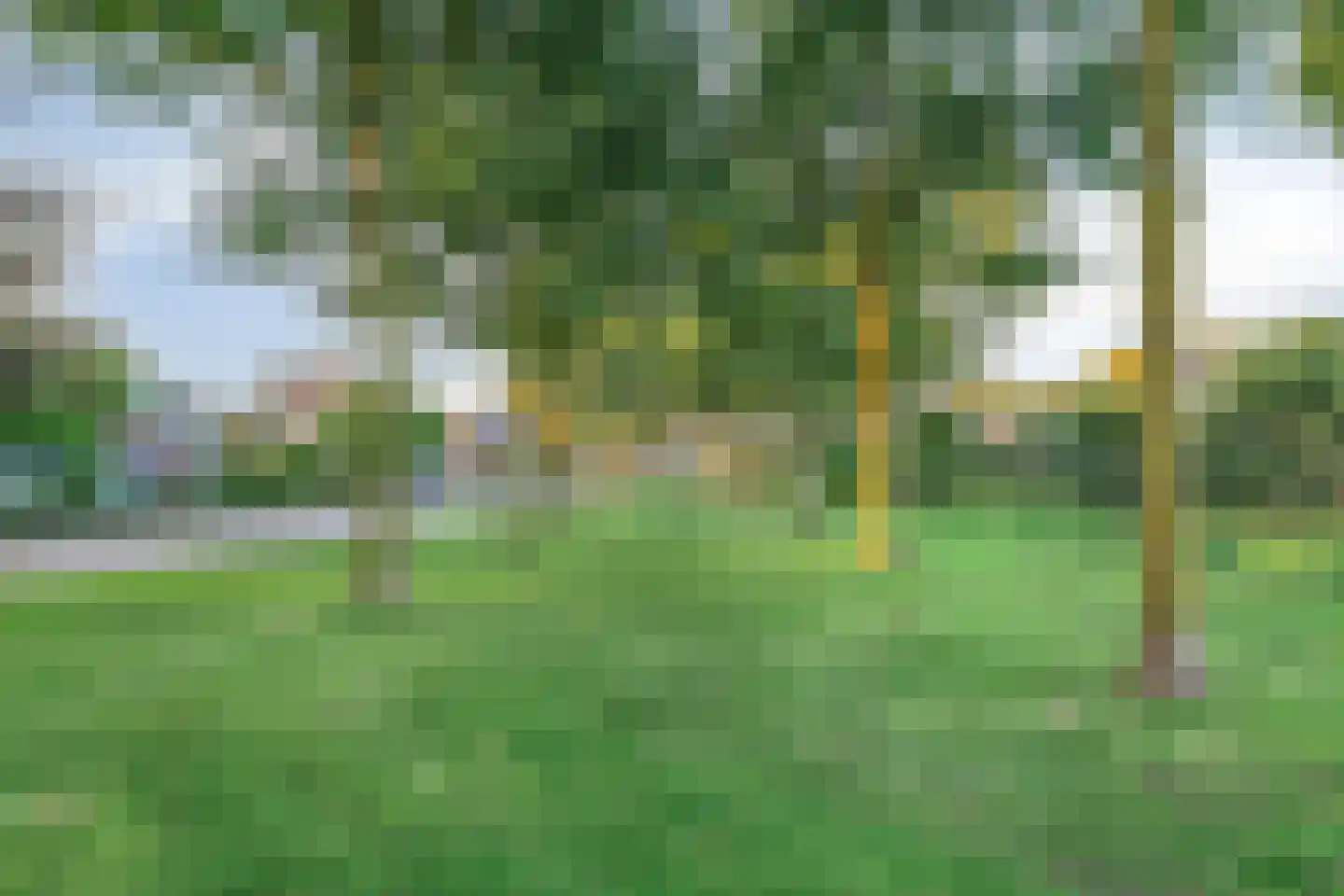 Schutsboom 76 A Hilvarenbeek thumbnail 48