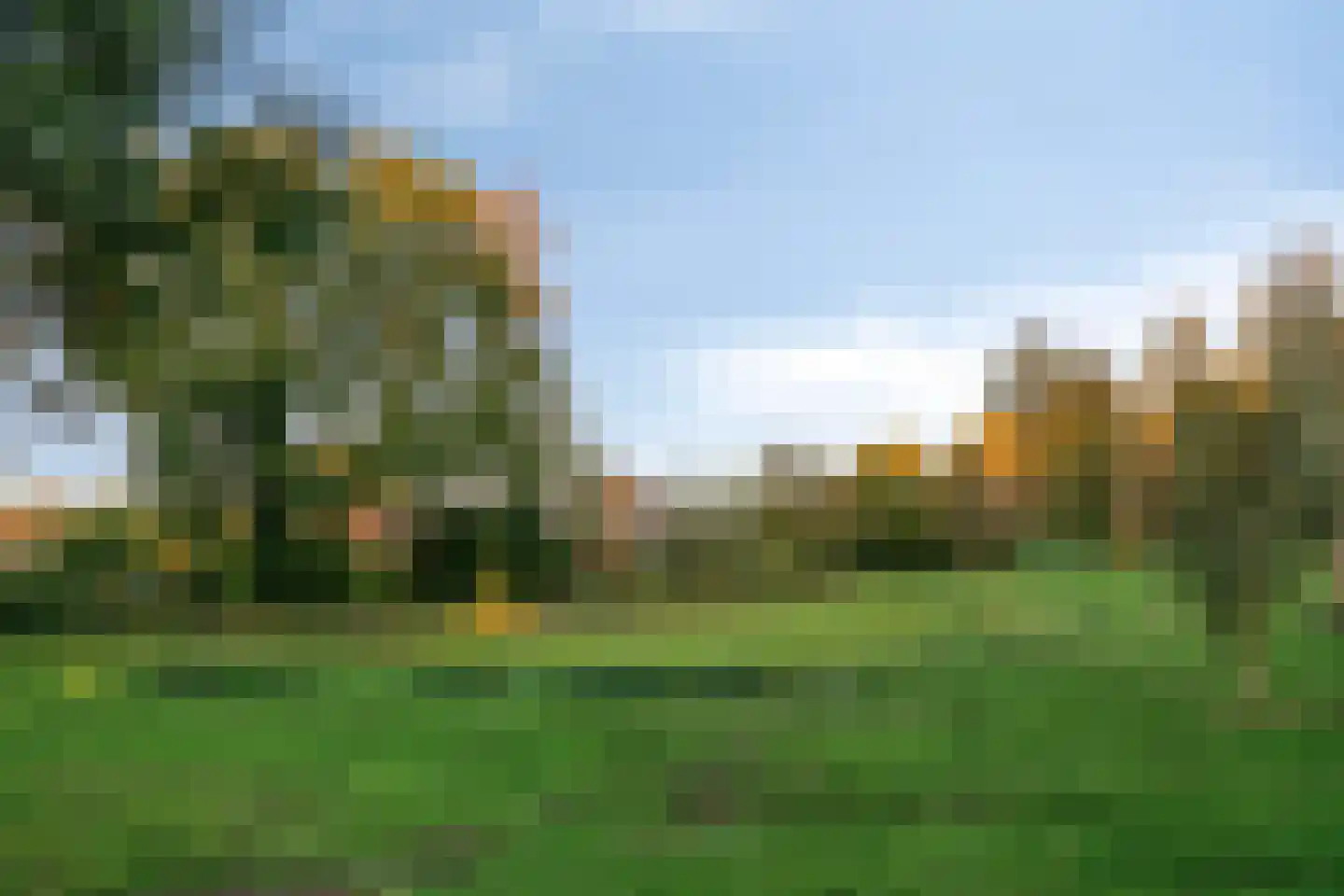 Schutsboom 76 A Hilvarenbeek thumbnail 49