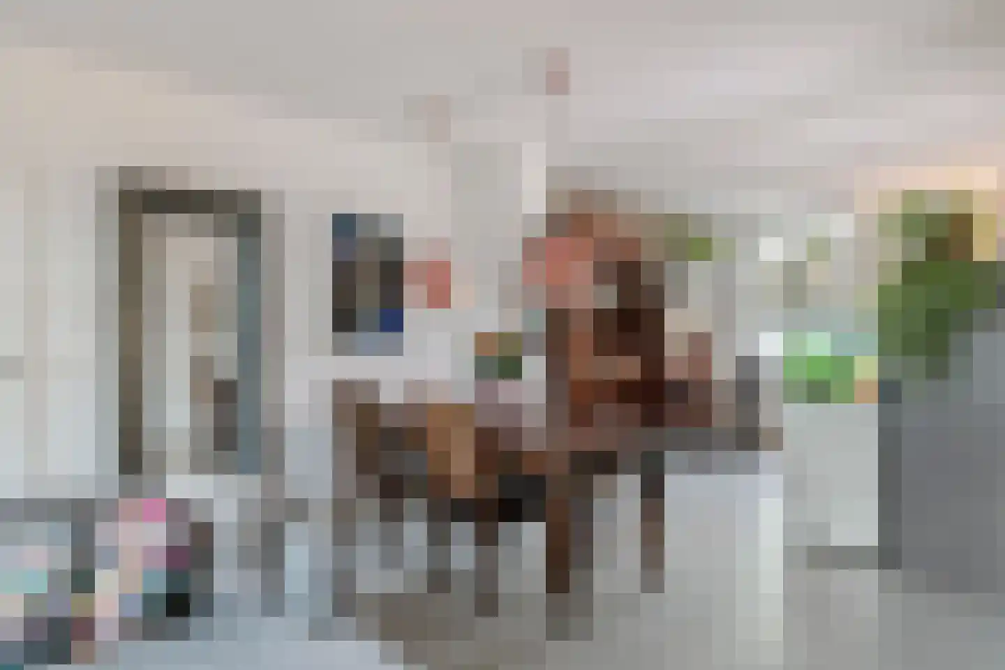 Schutsboom 76 A Hilvarenbeek thumbnail 8