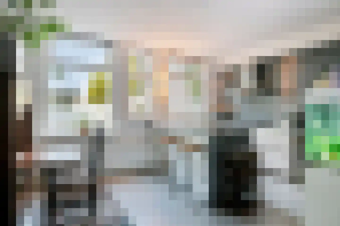 Schutsboom 76 A Hilvarenbeek thumbnail 9