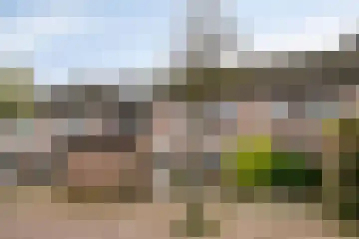 Schutsboom 9 in Geldrop
