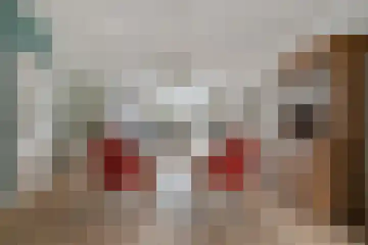 Schutsboom 9 Geldrop thumbnail 11