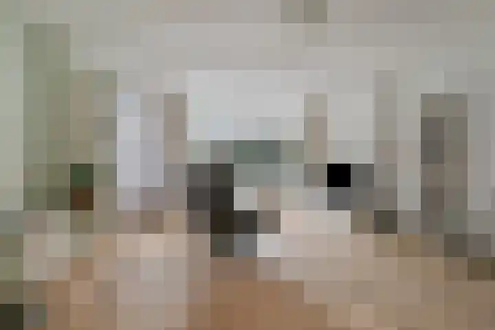 Schutsboom 9 Geldrop thumbnail 12