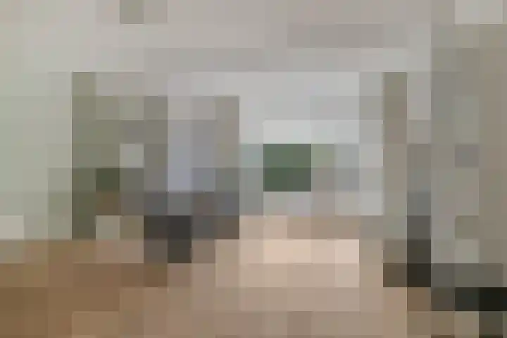 Schutsboom 9 Geldrop thumbnail 13
