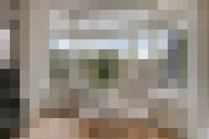 Schutsboom 9 Geldrop thumbnail 14