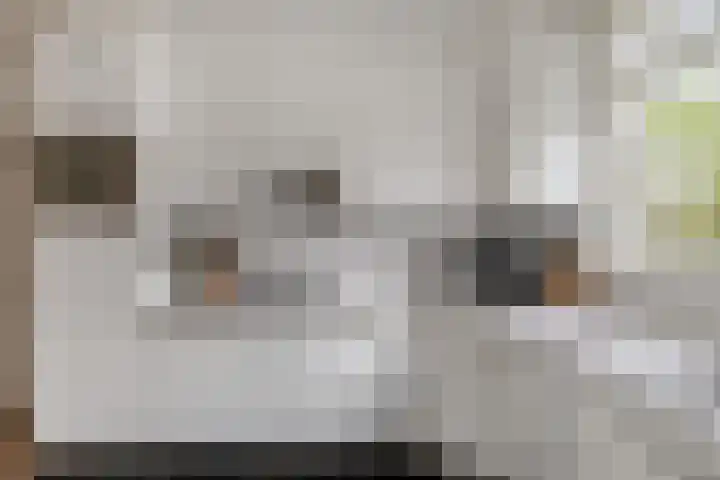 Schutsboom 9 Geldrop thumbnail 21