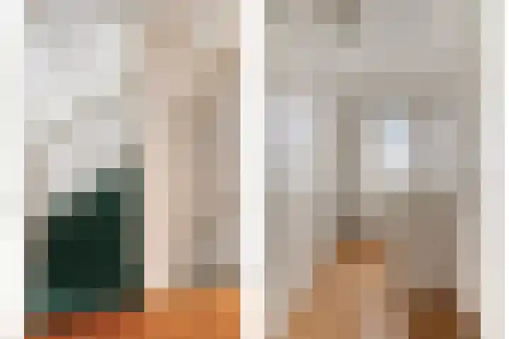 Schutsboom 9 Geldrop thumbnail 23