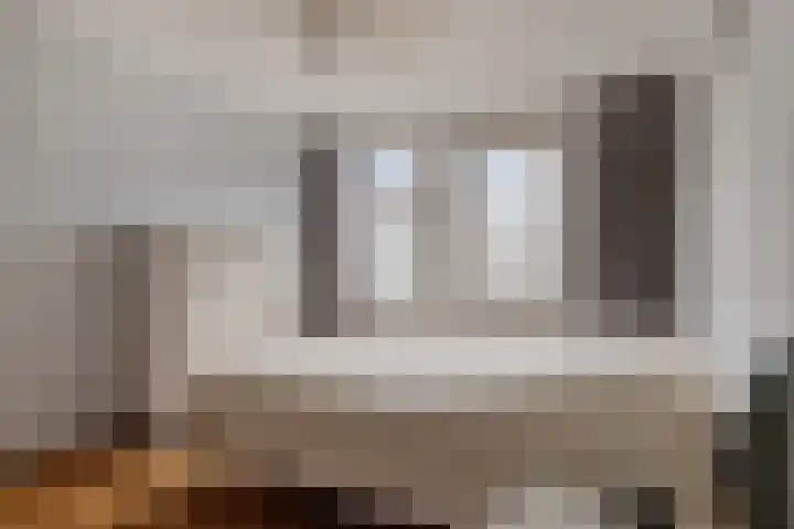Schutsboom 9 Geldrop thumbnail 25