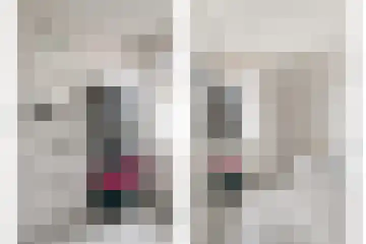 Schutsboom 9 Geldrop thumbnail 29