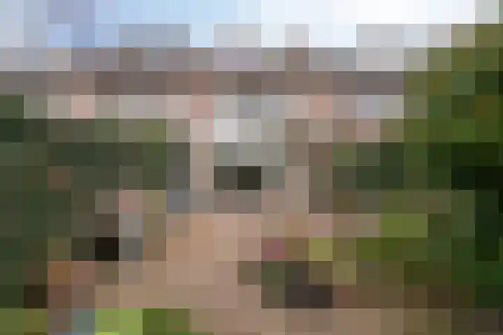 Schutsboom 9 Geldrop thumbnail 35