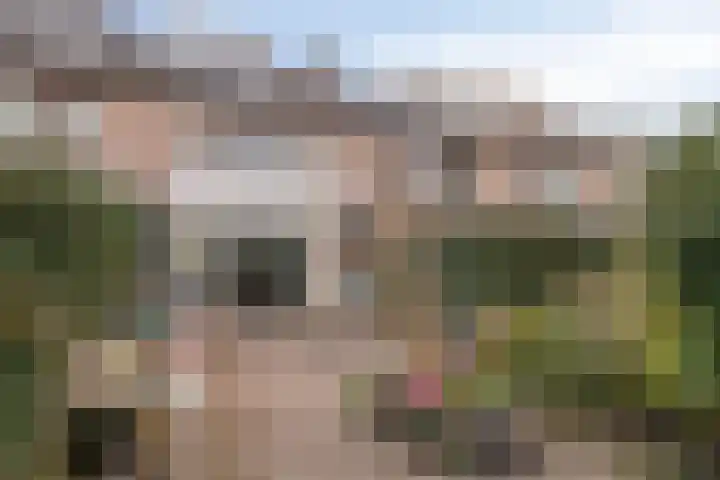 Schutsboom 9 Geldrop thumbnail 36