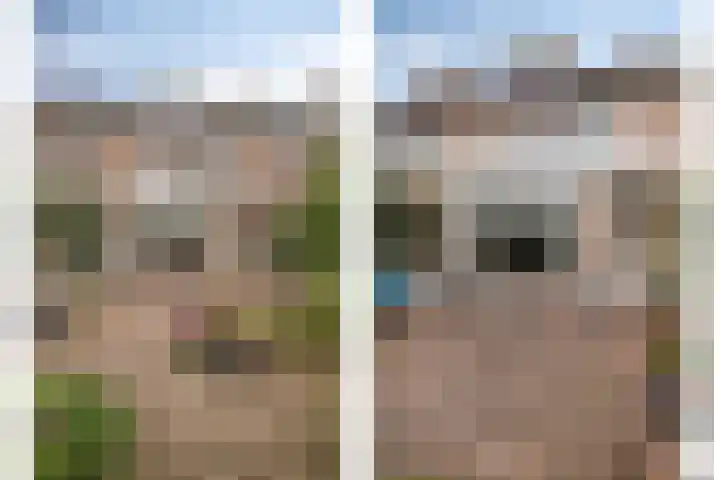 Schutsboom 9 Geldrop thumbnail 39