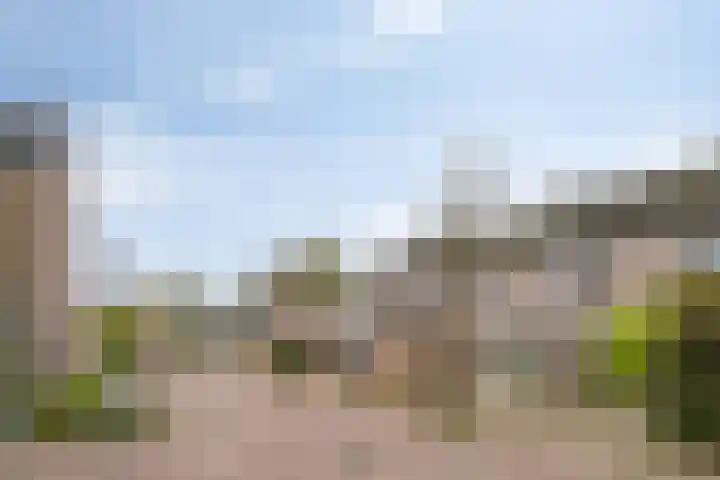 Schutsboom 9 Geldrop thumbnail 40
