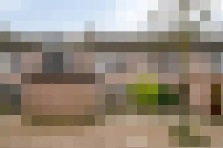 Schutsboom 9 Geldrop thumbnail 41