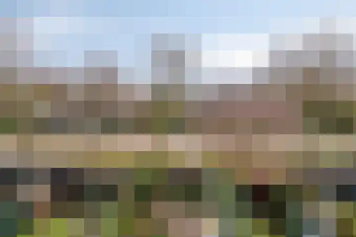 Schutsboom 9 Geldrop thumbnail 42