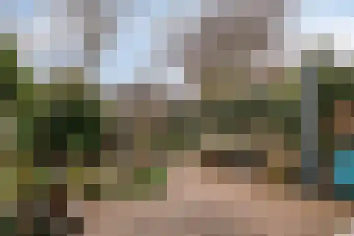 Schutsboom 9 Geldrop thumbnail 6