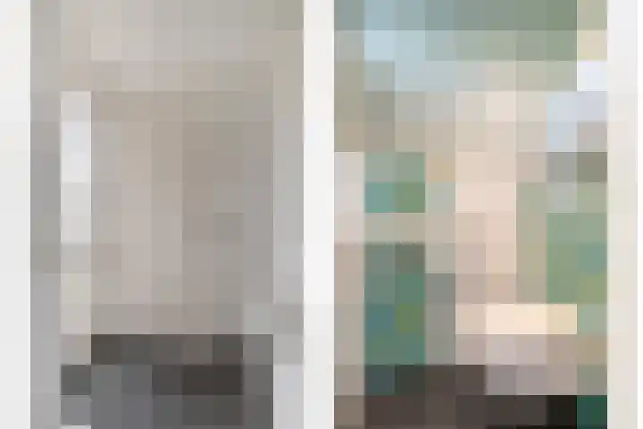 Schutsboom 9 Geldrop thumbnail 8