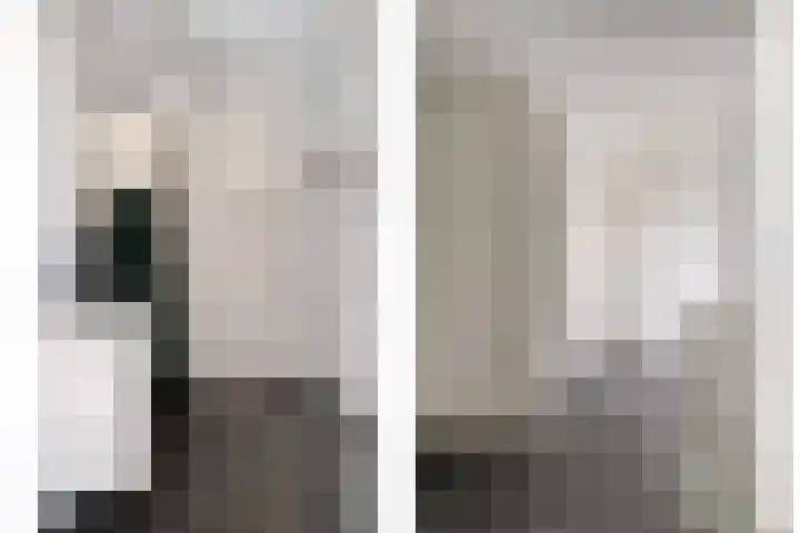 Schutsboom 9 Geldrop thumbnail 9