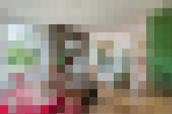 Schutsboomstraat 10 Heesch thumbnail 10
