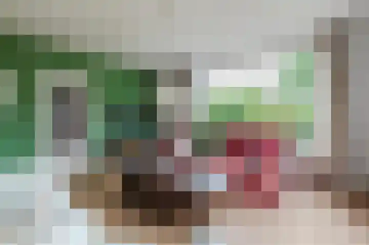 Schutsboomstraat 10 Heesch thumbnail 11