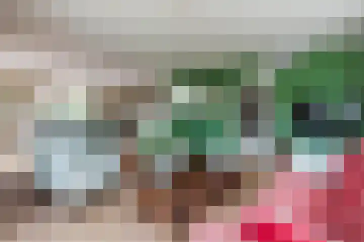 Schutsboomstraat 10 Heesch thumbnail 12