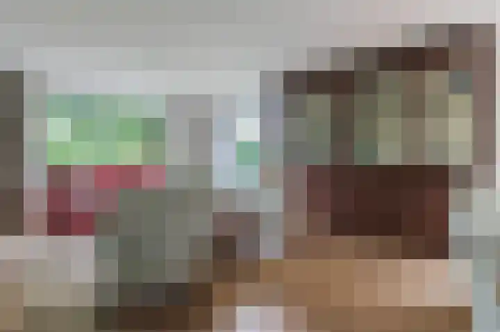 Schutsboomstraat 10 Heesch thumbnail 13