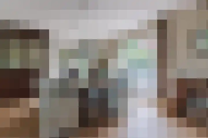 Schutsboomstraat 10 Heesch thumbnail 14