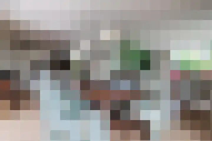 Schutsboomstraat 10 Heesch thumbnail 16