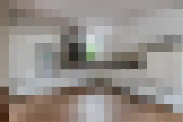 Schutsboomstraat 10 Heesch thumbnail 18
