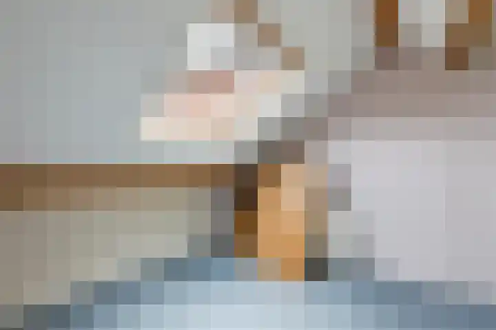Schutsboomstraat 10 Heesch thumbnail 25
