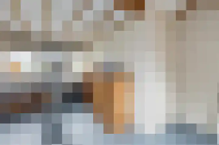 Schutsboomstraat 10 Heesch thumbnail 27