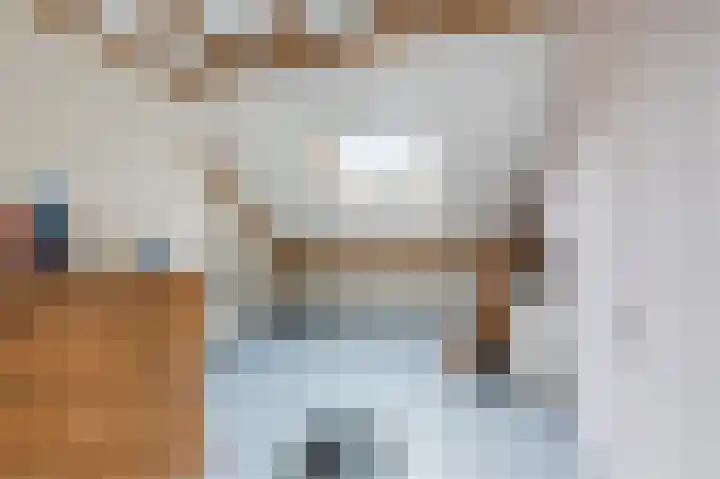 Schutsboomstraat 10 Heesch thumbnail 28