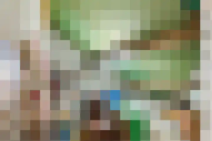 Schutsboomstraat 10 Heesch thumbnail 29